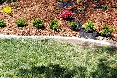 Landscaping Design and Maintenance